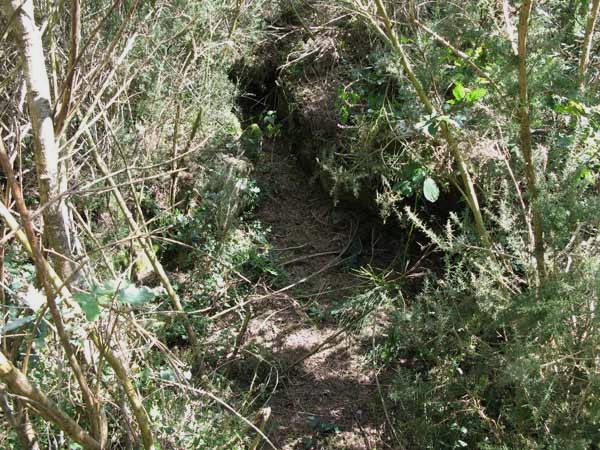 Dolmens de Kervilor-Man&eacute; Bras
